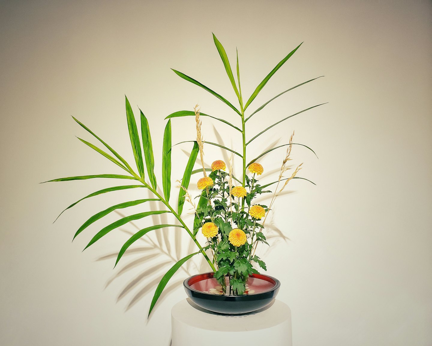 Aranżacja kwiatowa ikebana w misie na białym postumencie.